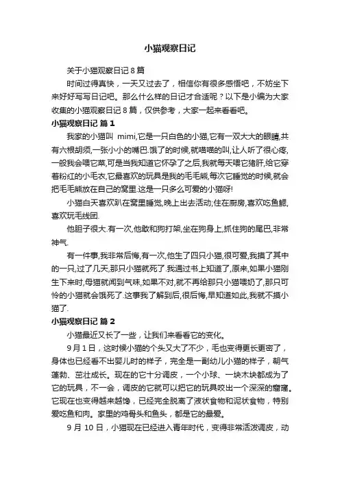 关于小猫观察日记8篇