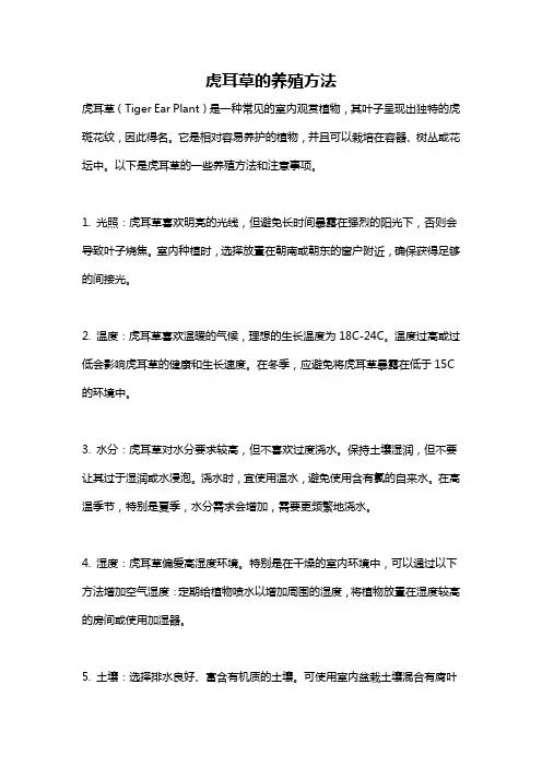 虎耳草的养殖方法