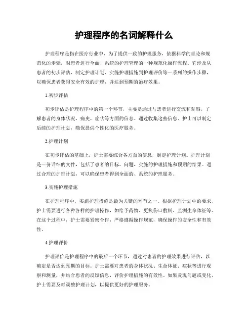 护理程序的名词解释什么