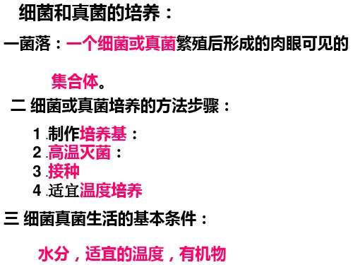 细菌真菌复习课ppt课件