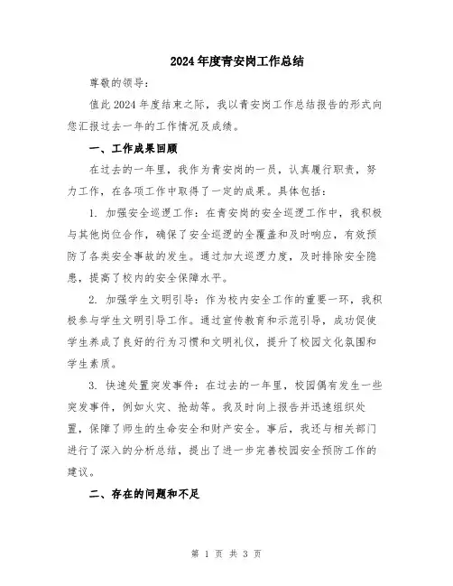 2024年度青安岗工作总结