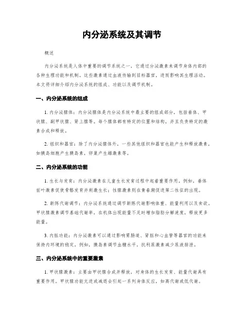 内分泌系统及其调节
