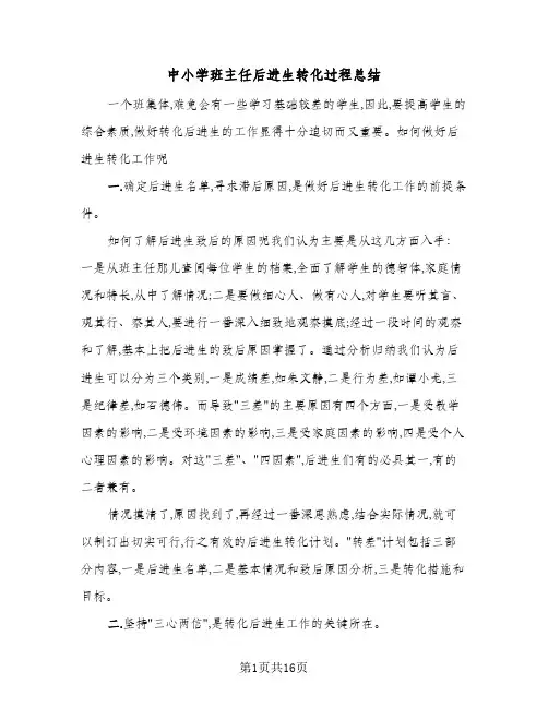 中小学班主任后进生转化过程总结(7篇)