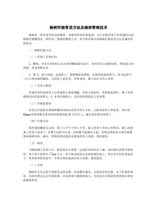 杨树扦插育苗方法及栽培管理技术