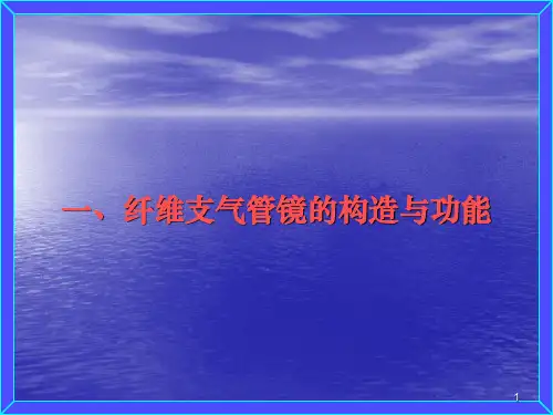 支气管镜技术临床应用PPT课件