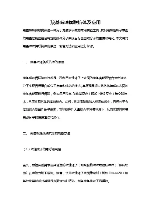 羧基磁珠偶联抗体及应用