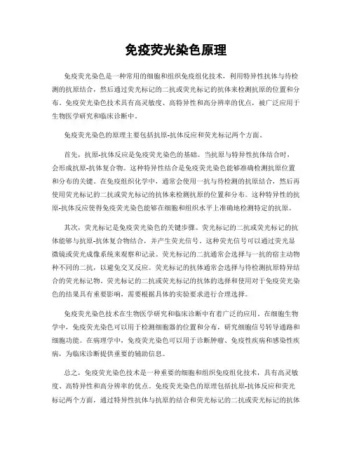 免疫荧光染色原理
