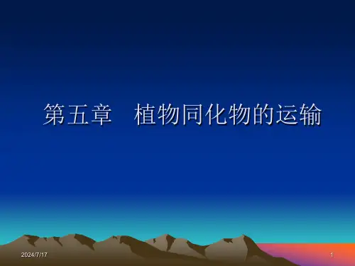 第五章---植物同化物的运输