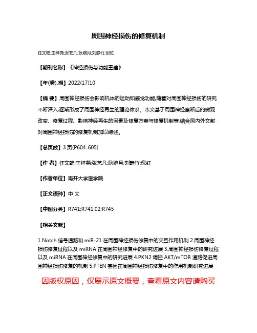 周围神经损伤的修复机制