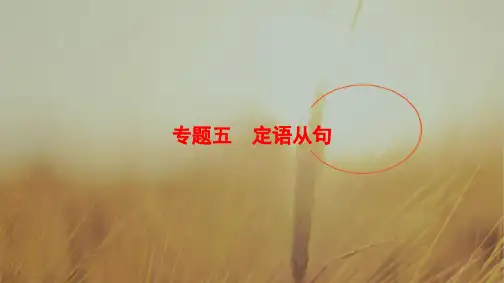 2018届高三英语译林版江苏专用一轮复习课件：第2部分 专题5 定语从句 精品