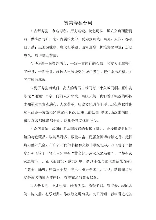 赞美寿县台词