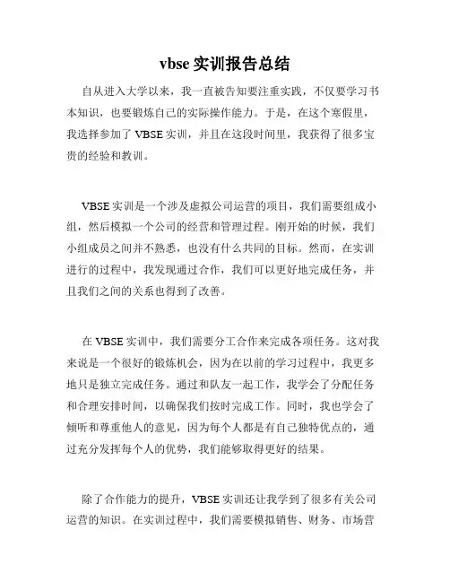vbse实训报告总结