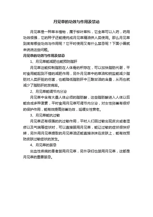 月见草的功效与作用及禁忌