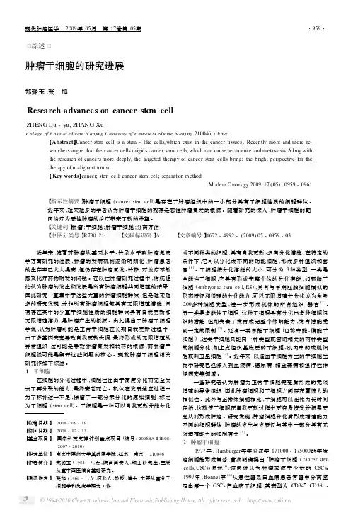 肿瘤干细胞的研究进展_郑璐玉