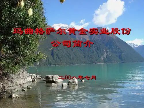 格萨尔公司简介新