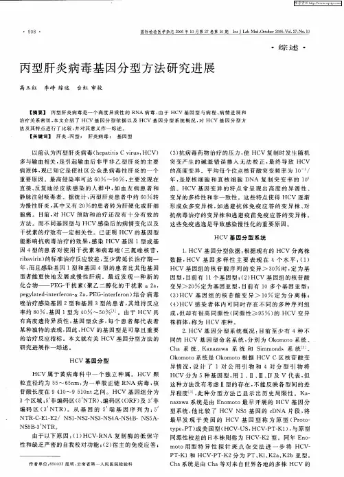 丙型肝炎病毒基因分型方法研究进展