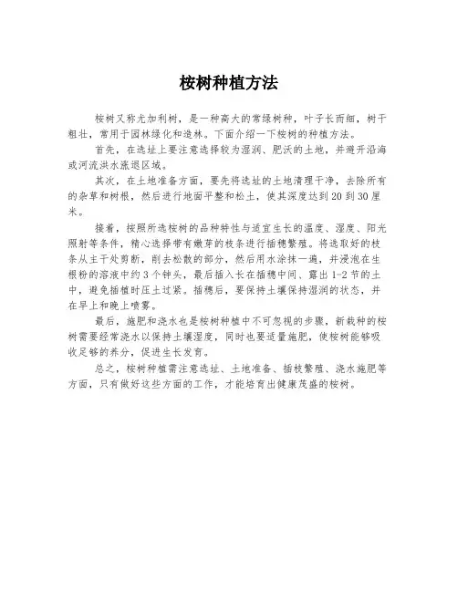桉树种植方法