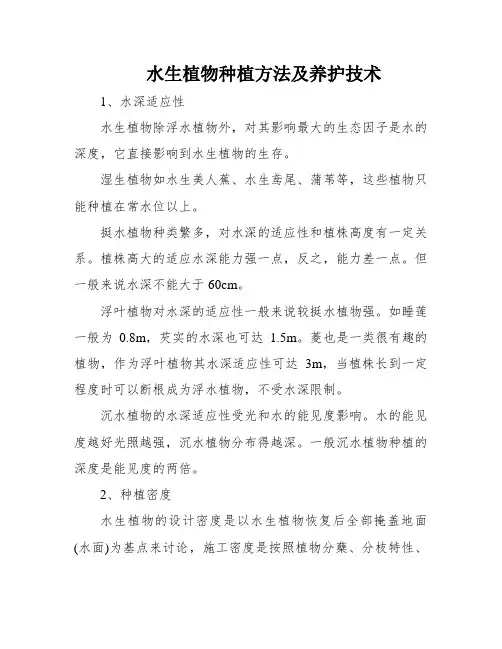 水生植物种植方法及养护技术