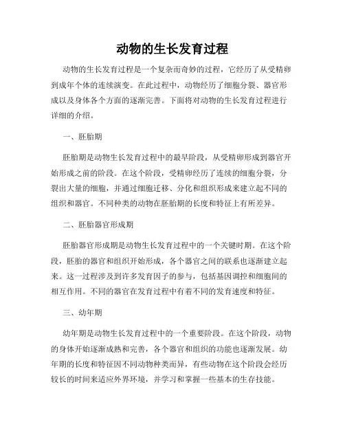 动物的生长发育过程