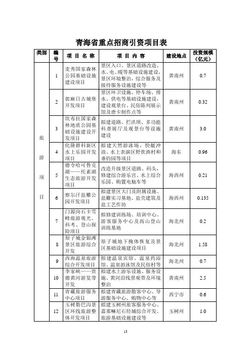 青海省重点招商引资项目表