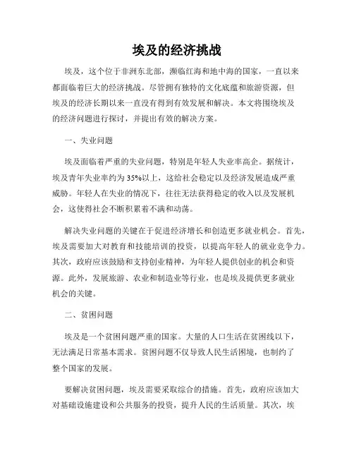 埃及的经济挑战