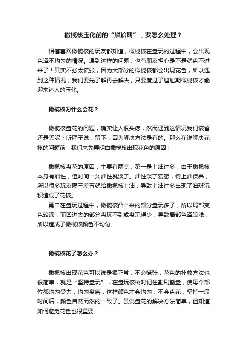 橄榄核玉化前的“尴尬期”，要怎么处理？