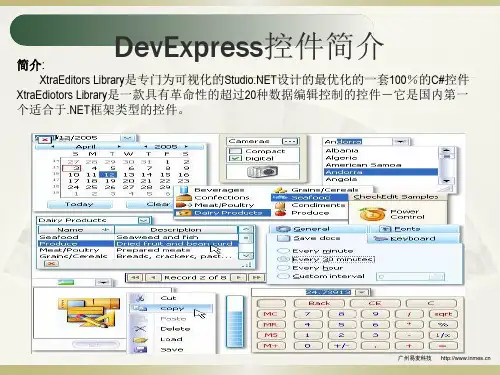 DevExpress简介