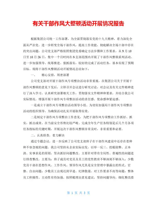 有关干部作风大整顿活动开展情况报告