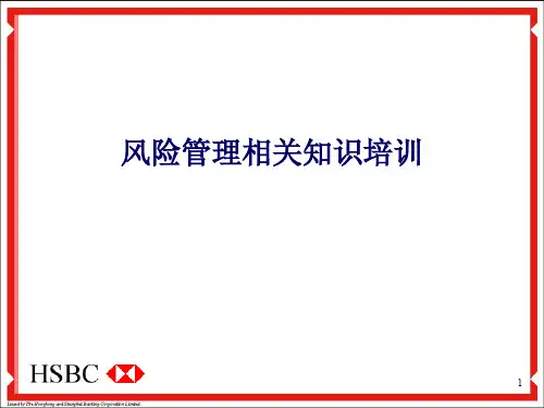 汇丰银行风险管理体系