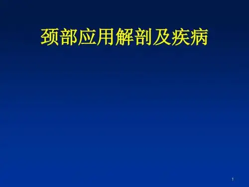 颈部解剖及疾病ppt课件