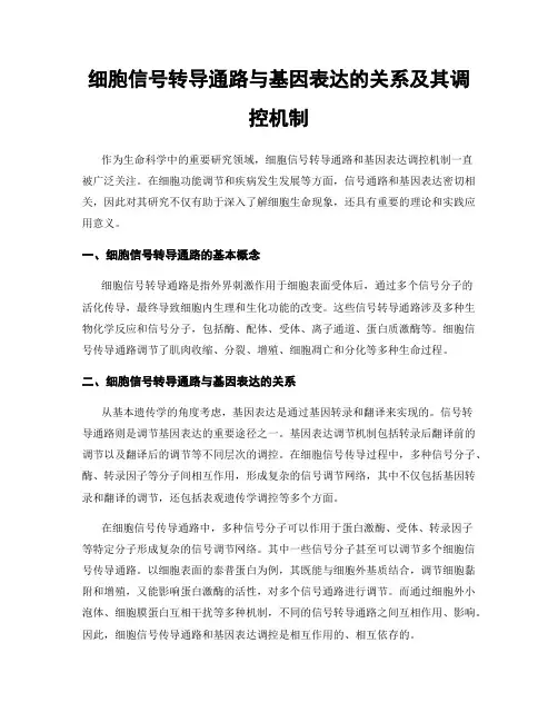 细胞信号转导通路与基因表达的关系及其调控机制