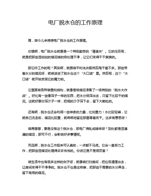 电厂脱水仓的工作原理