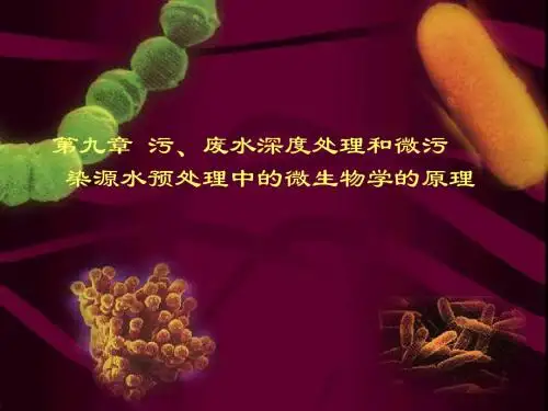 第十章污、废水深度处理和中微生物的原理0708