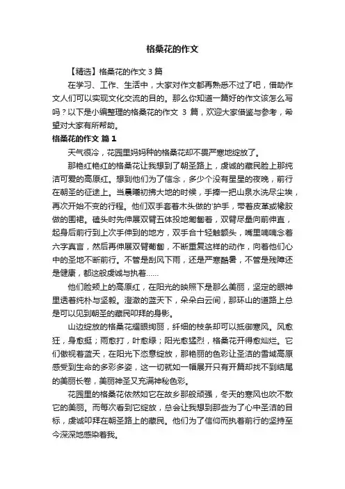 格桑花的作文