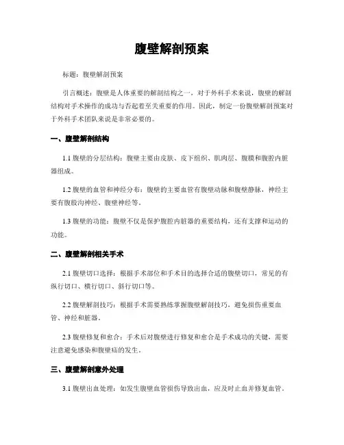 腹壁解剖预案