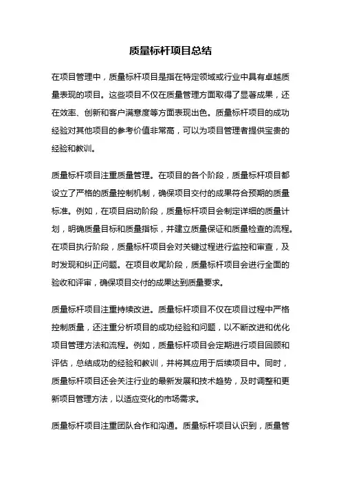 质量标杆项目总结