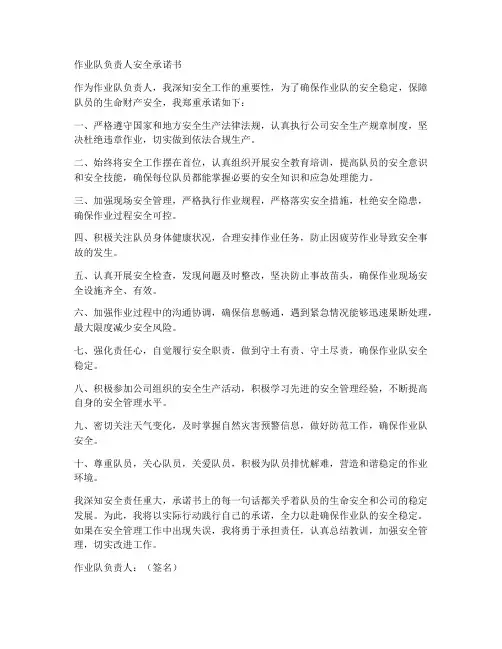 作业队负责人安全承诺书