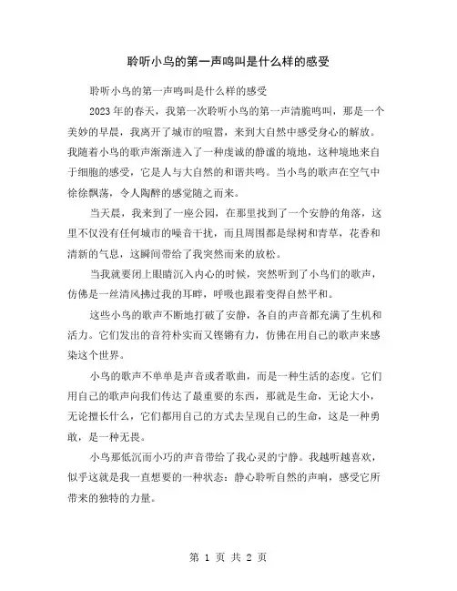 聆听小鸟的第一声鸣叫是什么样的感受