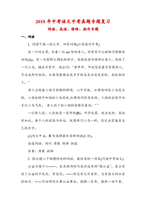 2018年中考语文中考真题专题复习---词语、成语、修辞、病句专题