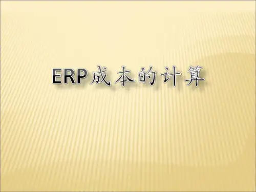 ERP成本的计算