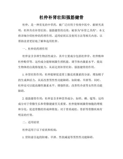 杜仲补肾壮阳强筋健骨