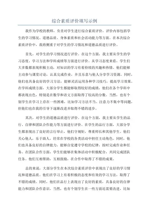综合素质评价填写示例