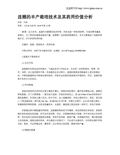 连翘的丰产栽培技术及其药用价值分析