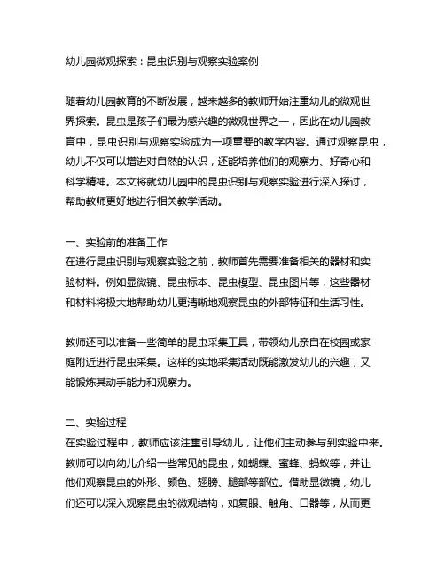 幼儿园微观探索：昆虫识别与观察实验案例