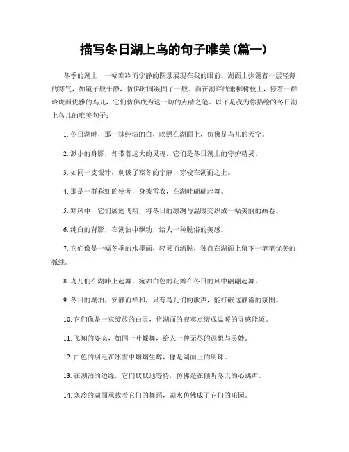 描写冬日湖上鸟的句子唯美(精选合集2篇)