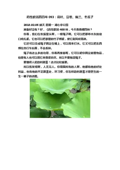 药性歌括四百味093：荷叶、豆卷、佩兰、冬瓜子