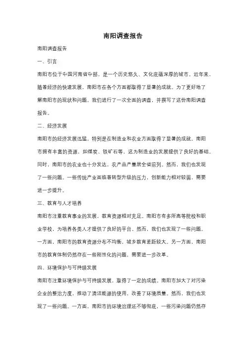 南阳调查报告