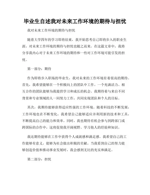 毕业生自述我对未来工作环境的期待与担忧