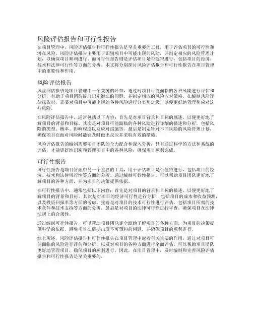 风险评估报告和可行性报告