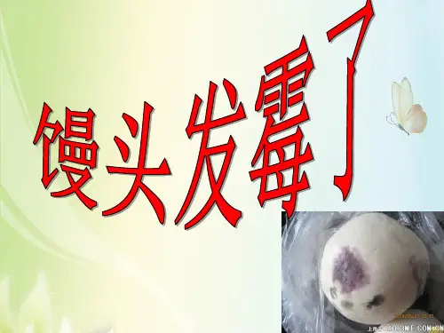 馒头发霉了(六上一单元3课)(课堂PPT)